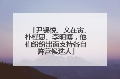尹锡悦、文在寅、朴槿惠、李明博，他们纷纷出面支持各自阵营候选人