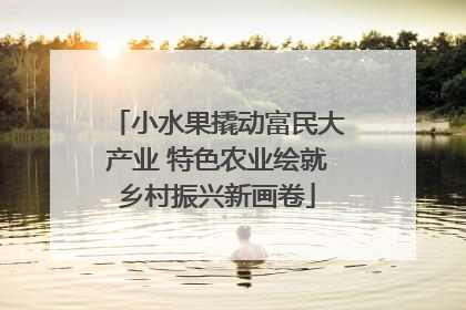 小水果撬动富民大产业 特色农业绘就乡村振兴新画卷