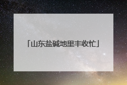 山东盐碱地里丰收忙