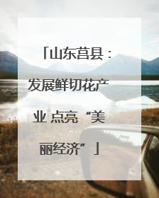 山东莒县：发展鲜切花产业 点亮“美丽经济”