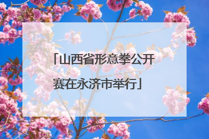 山西省形意拳公开赛在永济市举行