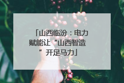 山西临汾：电力赋能让“山西智造”开足马力