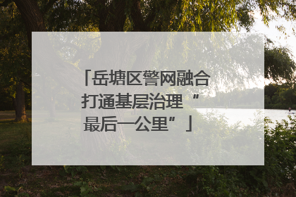 岳塘区警网融合 打通基层治理“最后一公里”