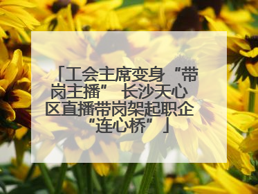 工会主席变身“带岗主播” 长沙天心区直播带岗架起职企“连心桥”