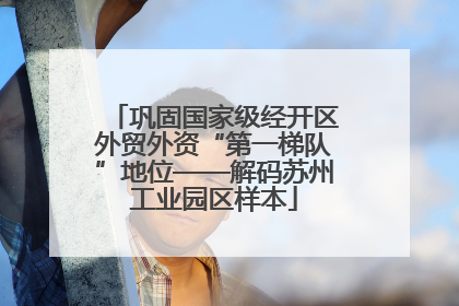 巩固国家级经开区外贸外资“第一梯队”地位——解码苏州工业园区样本
