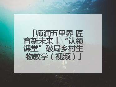 师润五里界 匠育新未来丨“认领课堂”破局乡村生物教学（视频）