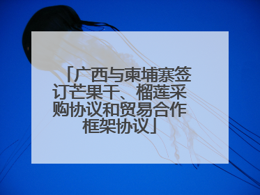 广西与柬埔寨签订芒果干、榴莲采购协议和贸易合作框架协议