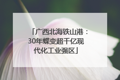 广西北海铁山港：30年蝶变超千亿现代化工业强区
