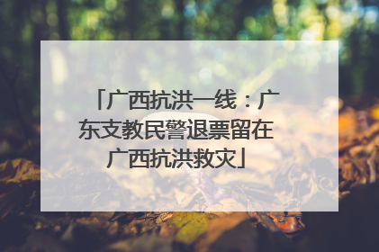 广西抗洪一线：广东支教民警退票留在广西抗洪救灾