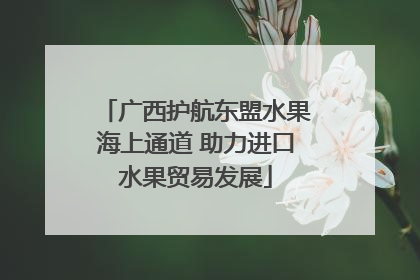 广西护航东盟水果海上通道 助力进口水果贸易发展