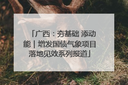 广西：夯基础 添动能｜增发国债气象项目落地见效系列报道