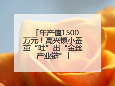 年产值1500万元！高兴镇小蚕茧“吐”出“金丝产业链”