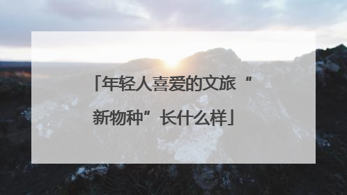 年轻人喜爱的文旅“新物种”长什么样
