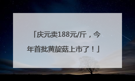 庆元卖188元/斤，今年首批黄靛菇上市了！
