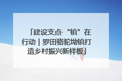 建设支点·“镇”在行动｜罗田骆驼坳镇打造乡村振兴新样板
