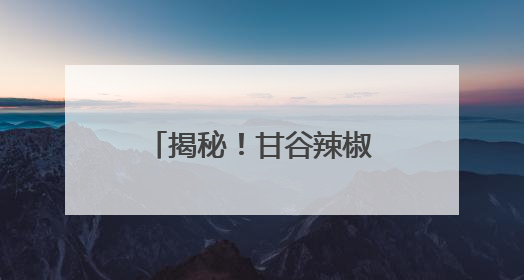 揭秘！甘谷辣椒火爆出圈的密码