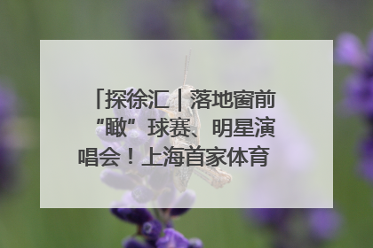 探徐汇｜落地窗前“瞰”球赛、明星演唱会！上海首家体育特色高端酒店亮相