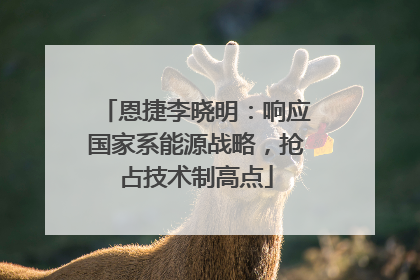 恩捷李晓明：响应国家系能源战略，抢占技术制高点