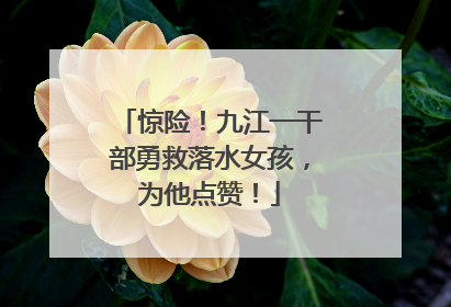 惊险！九江一干部勇救落水女孩，为他点赞！