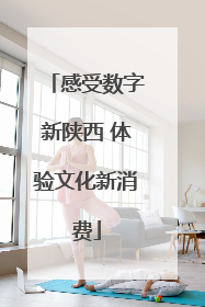 感受数字新陕西 体验文化新消费