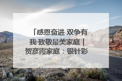 感恩奋进 双争有我·致敬最美家庭｜贺彦霞家庭：银针彩线绣出好日子