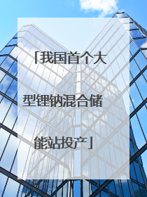 我国首个大型锂钠混合储能站投产