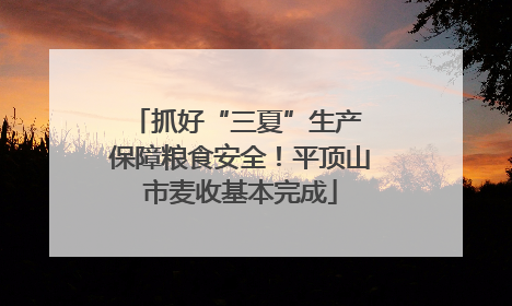 抓好“三夏”生产 保障粮食安全！平顶山市麦收基本完成