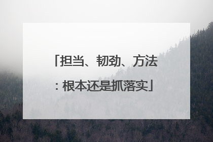 担当、韧劲、方法：根本还是抓落实