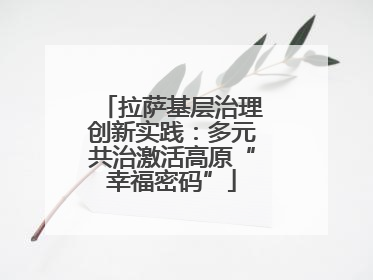 拉萨基层治理创新实践：多元共治激活高原“幸福密码”