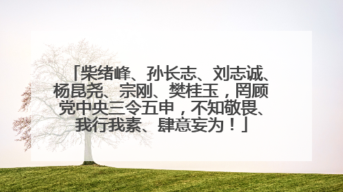 柴绪峰、孙长志、刘志诚、杨昆尧、宗刚、樊桂玉，罔顾党中央三令五申，不知敬畏、我行我素、肆意妄为！