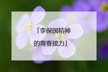 李保国精神的青春接力