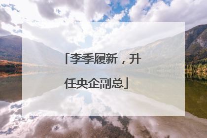 李季履新，升任央企副总