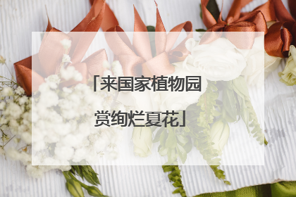 来国家植物园 赏绚烂夏花