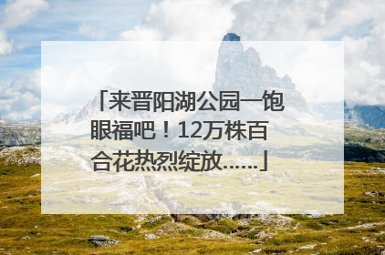 来晋阳湖公园一饱眼福吧！12万株百合花热烈绽放……
