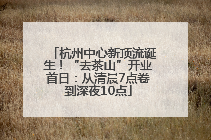 杭州中心新顶流诞生！“去茶山”开业首日：从清晨7点卷到深夜10点
