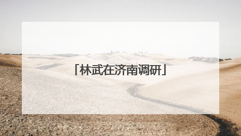 林武在济南调研