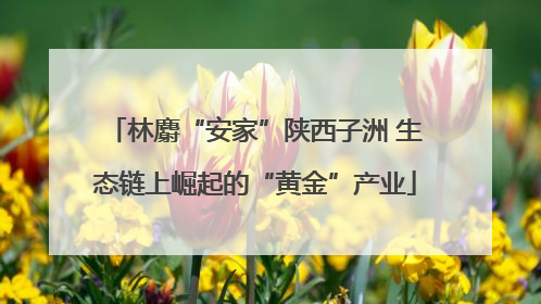 林麝“安家”陕西子洲 生态链上崛起的“黄金”产业