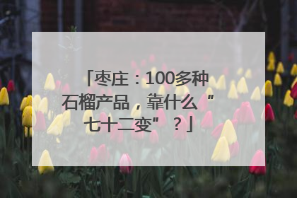 枣庄：100多种石榴产品，靠什么“七十二变”？