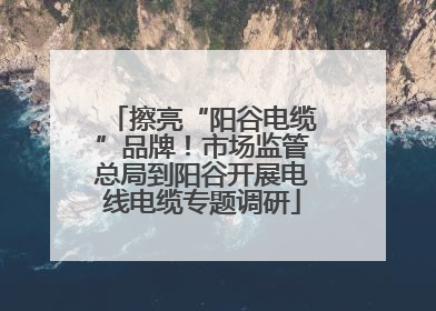 擦亮“阳谷电缆”品牌！市场监管总局到阳谷开展电线电缆专题调研
