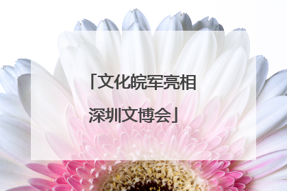 文化皖军亮相深圳文博会