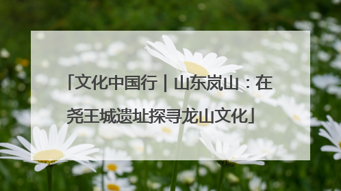文化中国行｜山东岚山：在尧王城遗址探寻龙山文化