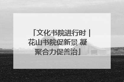 文化书院进行时｜花山书院促新景 凝聚合力促善治
