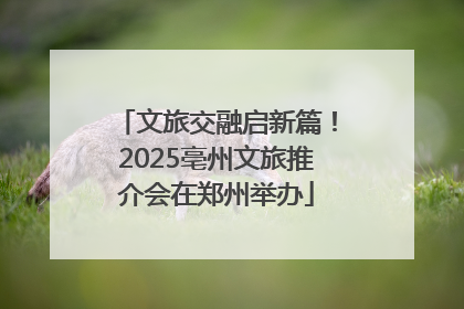 文旅交融启新篇！2025亳州文旅推介会在郑州举办