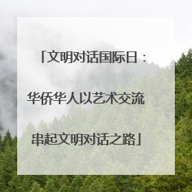 文明对话国际日：华侨华人以艺术交流串起文明对话之路