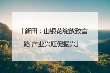 新田：山银花绽放致富路 产业兴旺促振兴
