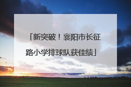 新突破！襄阳市长征路小学排球队获佳绩