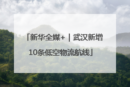 新华全媒+｜武汉新增10条低空物流航线