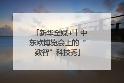 新华全媒+丨中东欧博览会上的“数智”科技秀