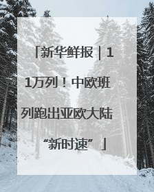 新华鲜报｜11万列！中欧班列跑出亚欧大陆“新时速”