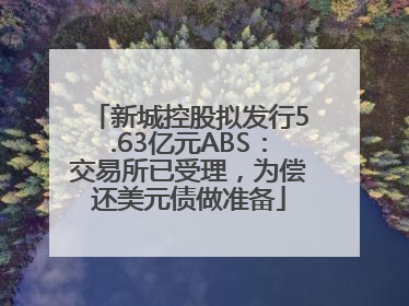 新城控股拟发行5.63亿元ABS：交易所已受理，为偿还美元债做准备